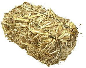 Hay Bale