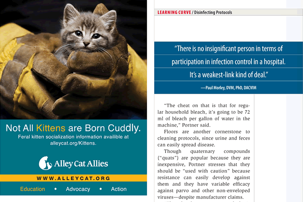 The American Animal Hospital Association AAHA