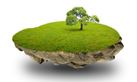 Looking for a pet turf cleaner