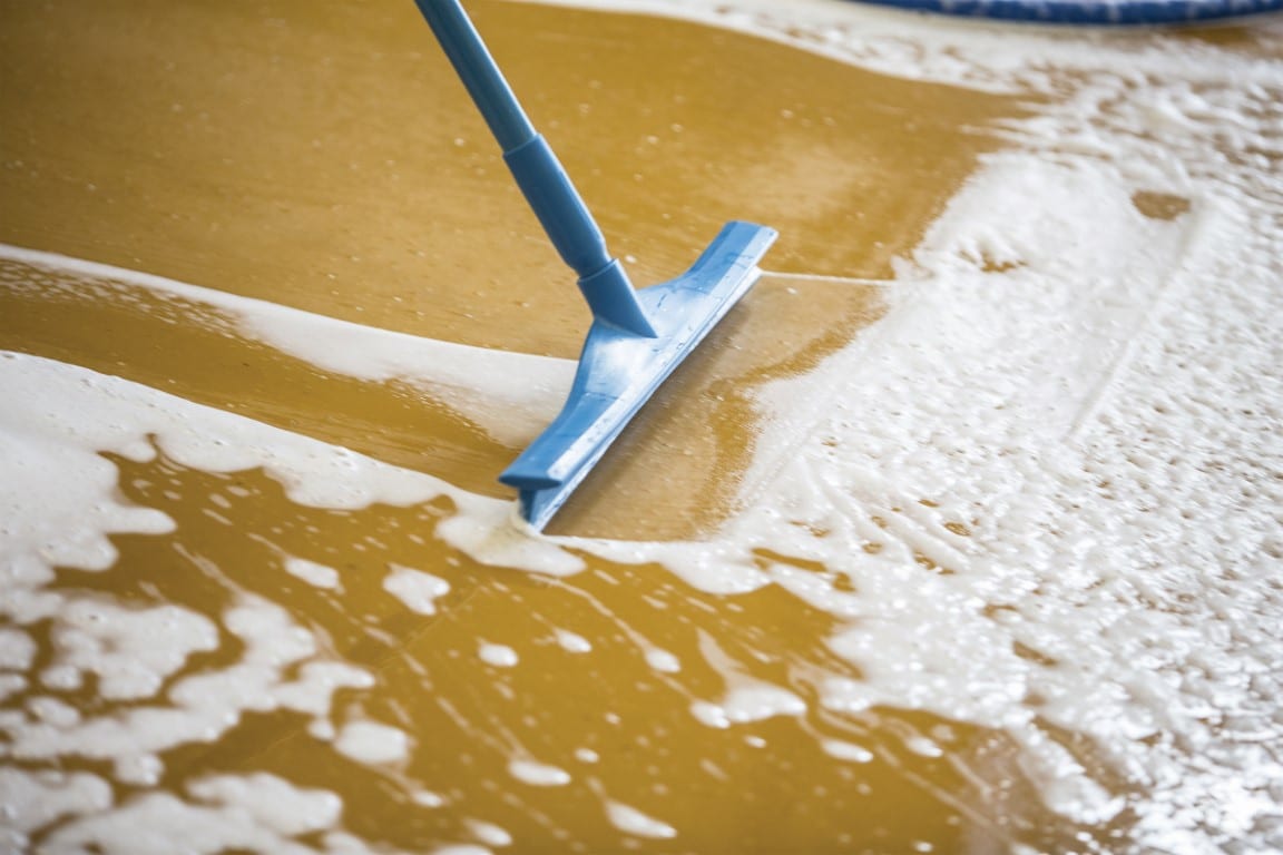 Squeegee Blue